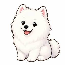 Samoyed