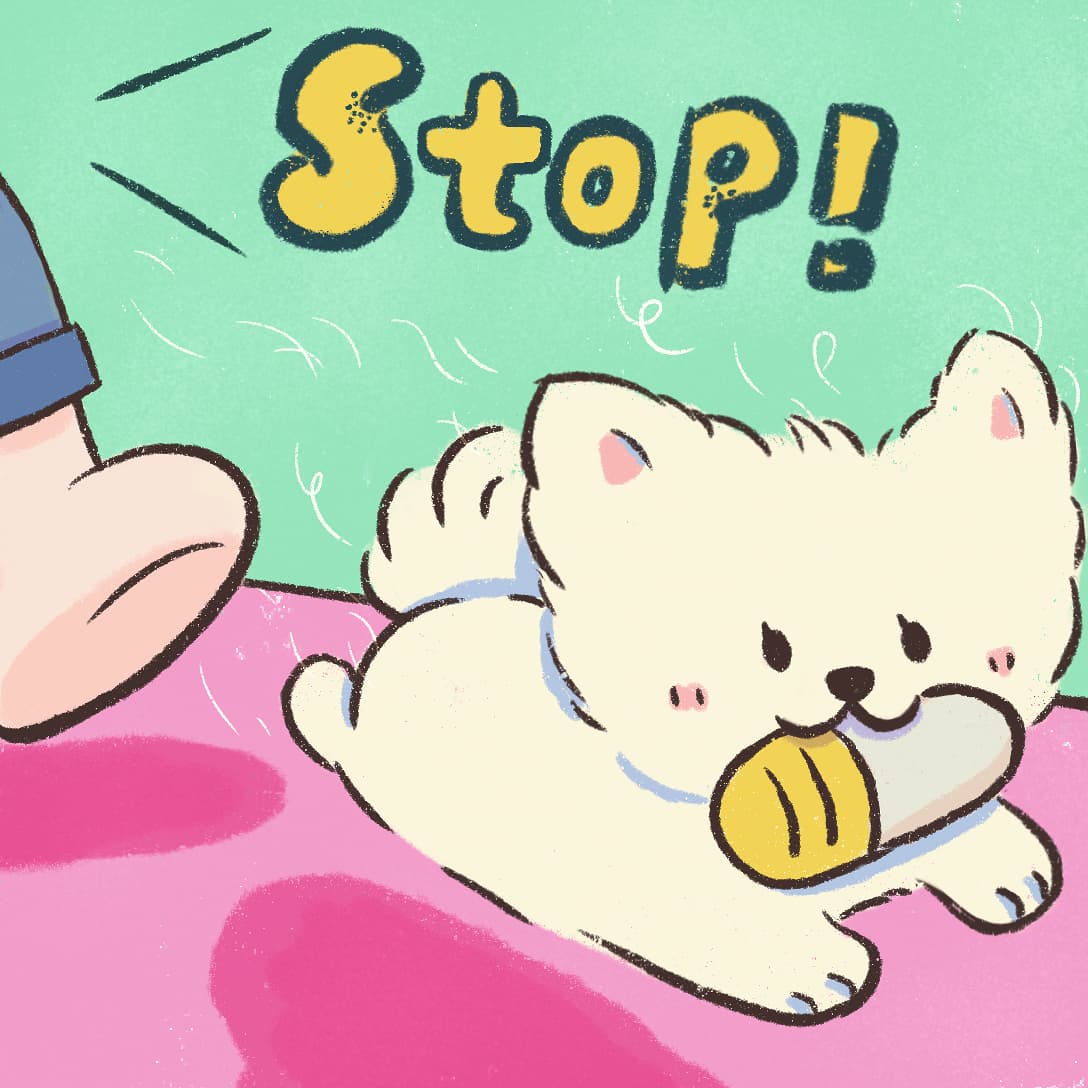 Understand Dogs