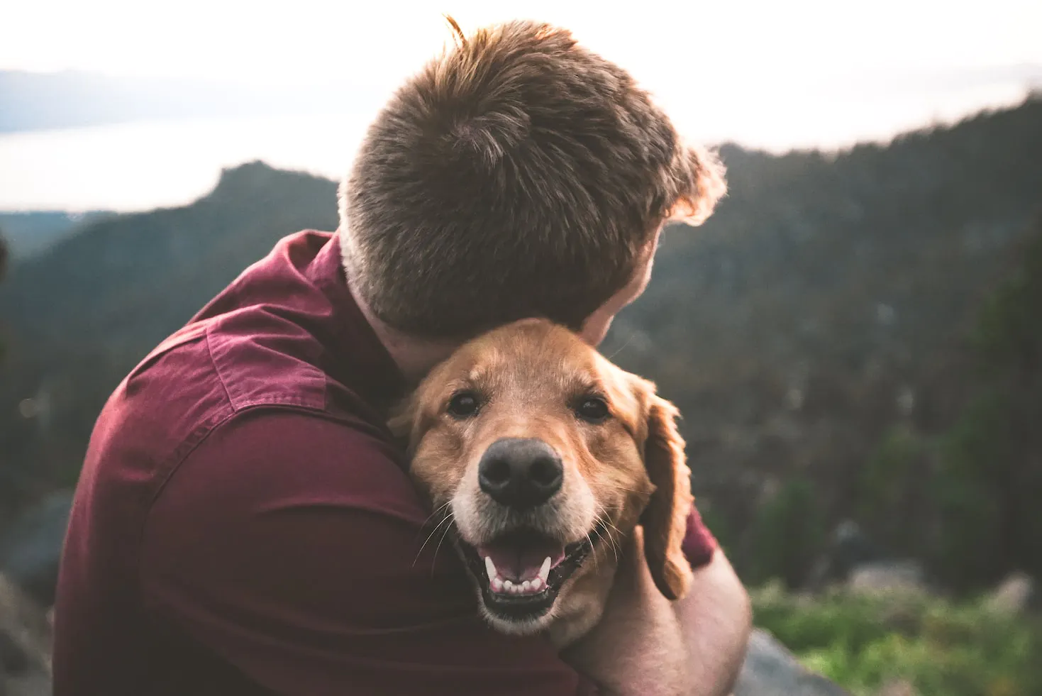 What Dog For You