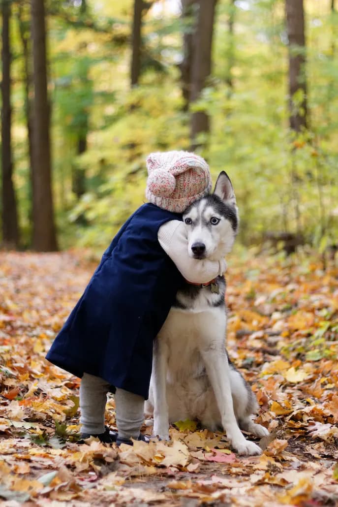 What's your dog's personality like?