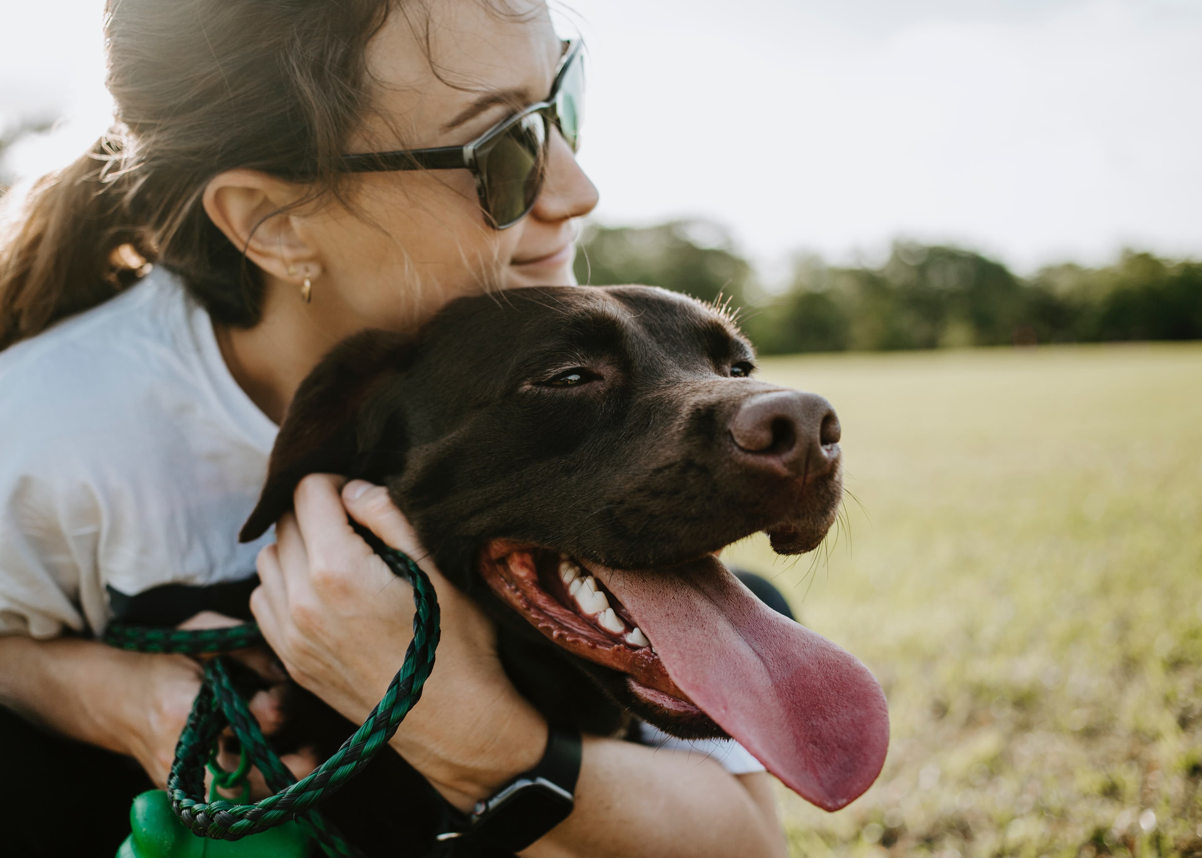 16 Dog Personality Test